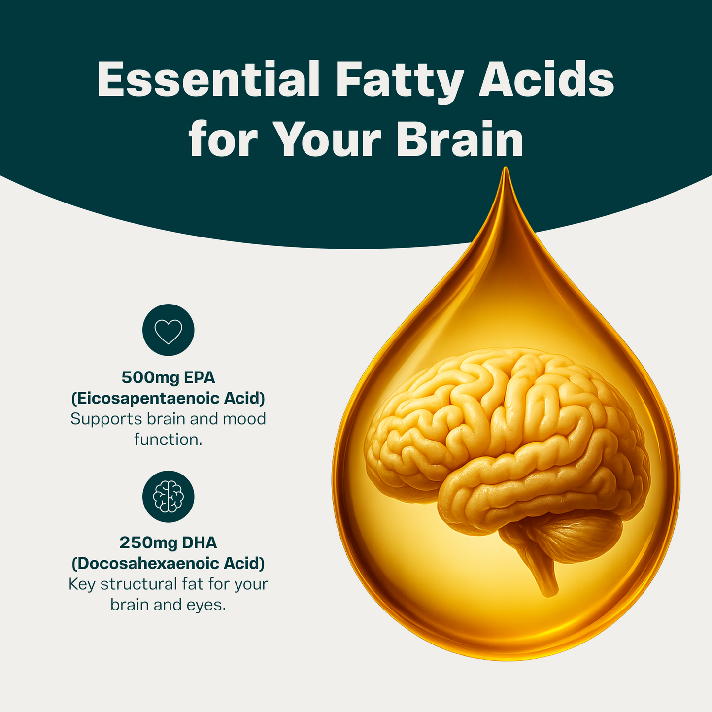 Brain Lube: High-EPA Omega 3 for Focus
