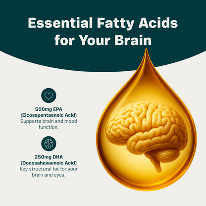 Brain Lube: High-EPA Omega 3 for Focus